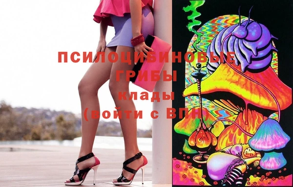 СК Дегтярск